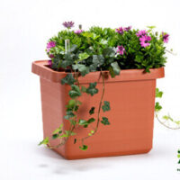 Truhlík samozavlažovací Berberis Uno - terakota 45 cm