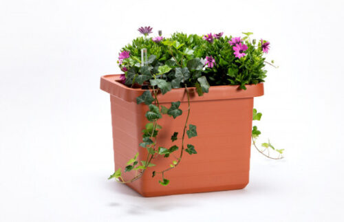 Truhlík samozavlažovací Berberis Uno - terakota 45 cm - Obrázek 2