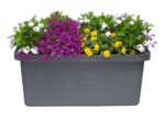 Truhlík samozavlažovací Berberis Duo - antracit 80 cm - Obrázek 2