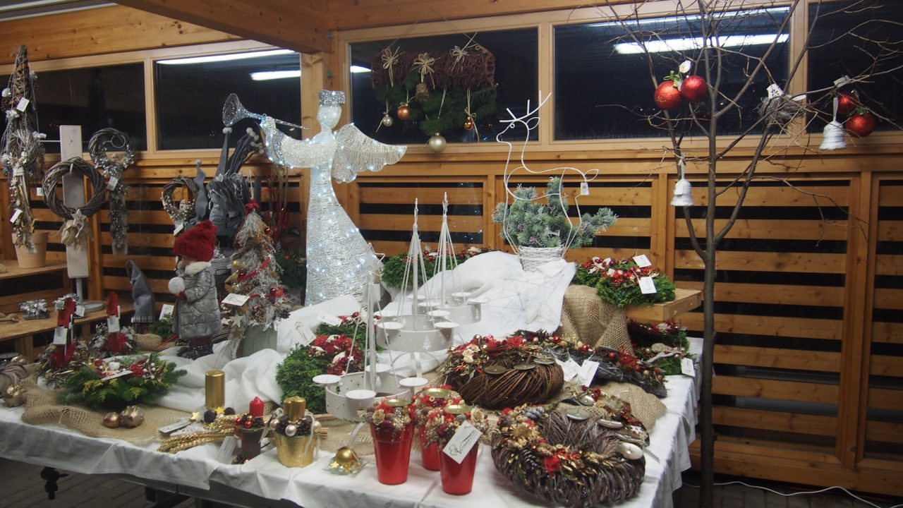 46526202_1251044111720230_4052006966069821440_o