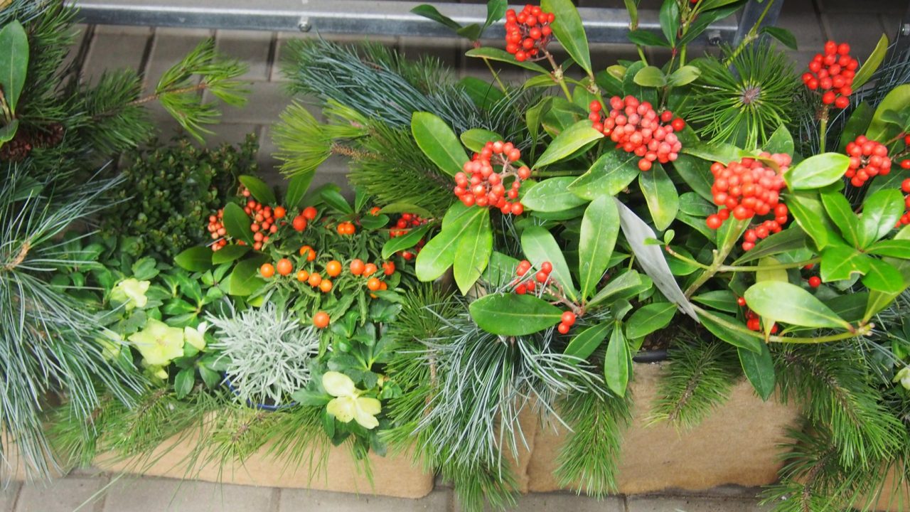 46521510_1251045721720069_896494085676728320_o