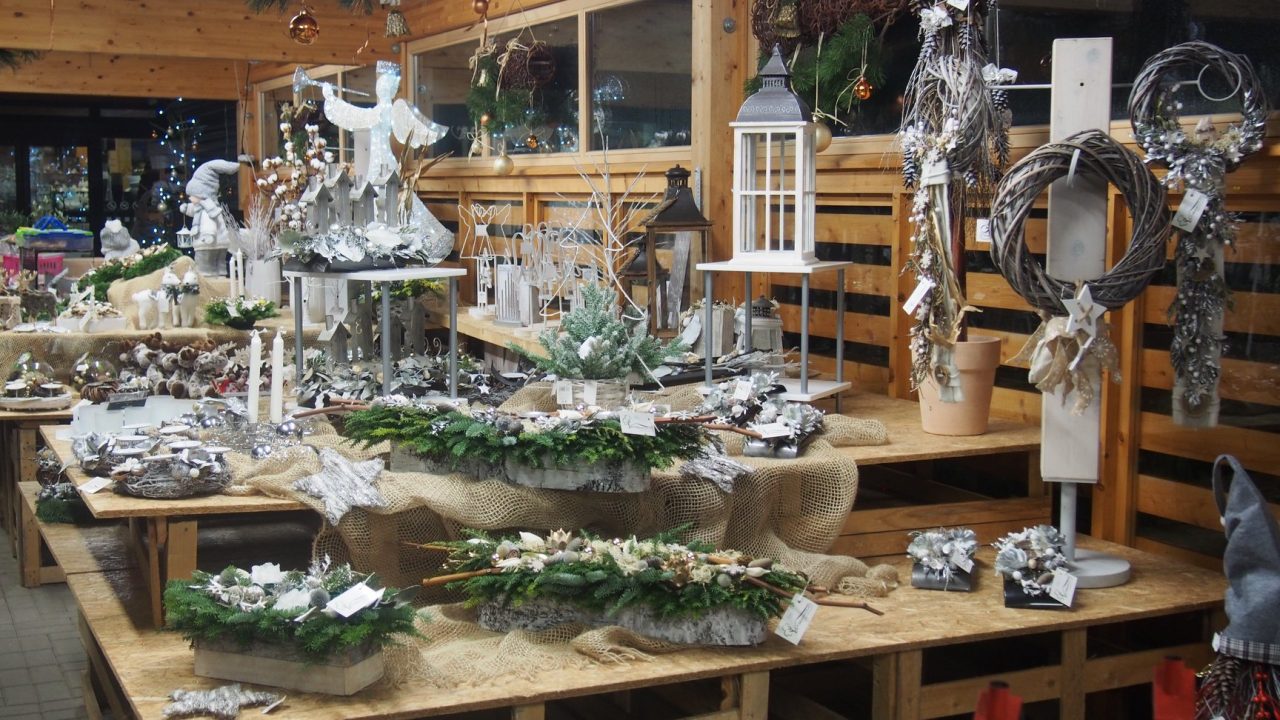 46521098_1251044401720201_7987699886982168576_o