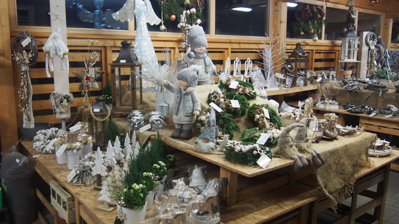 46519653_1251045331720108_5330516046010908672_o