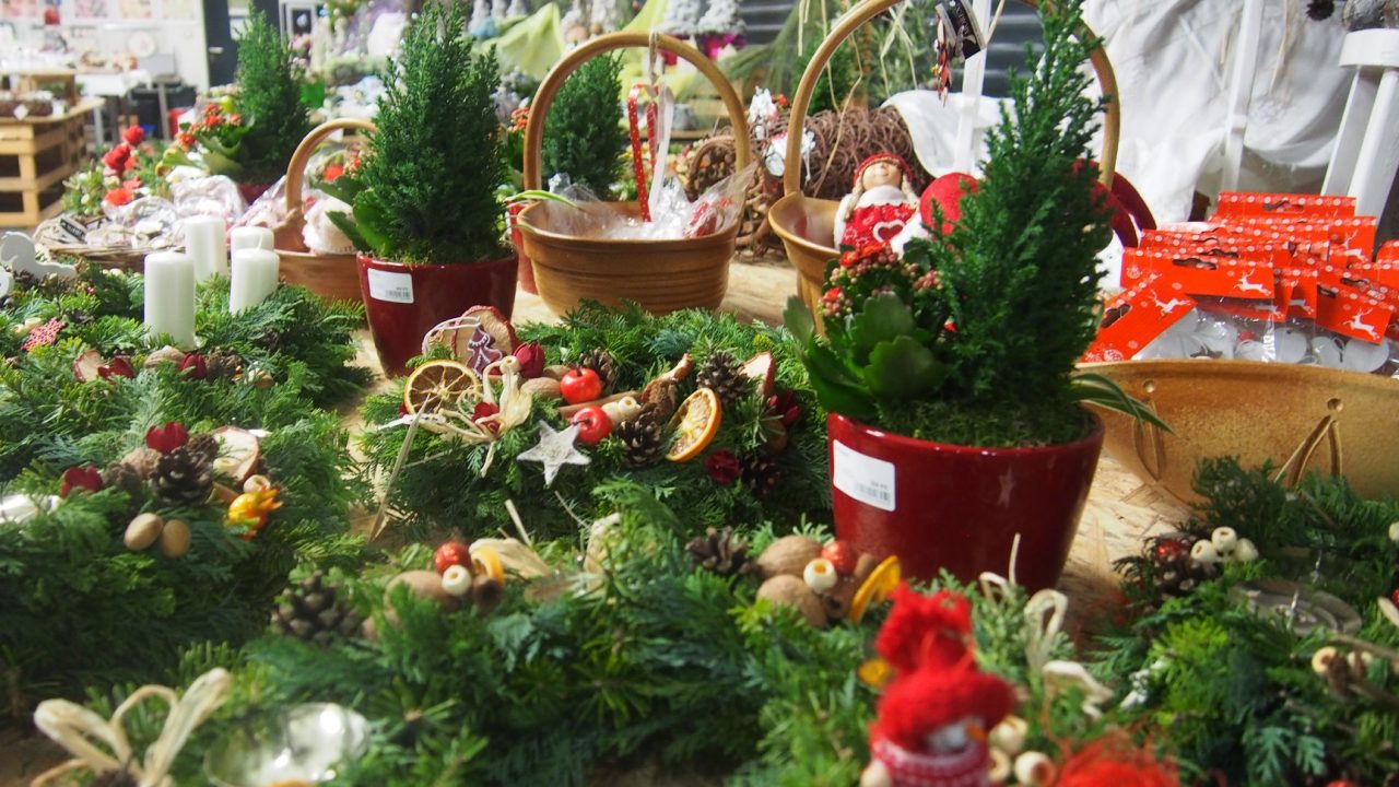 46519319_1251045235053451_4631393368490901504_o