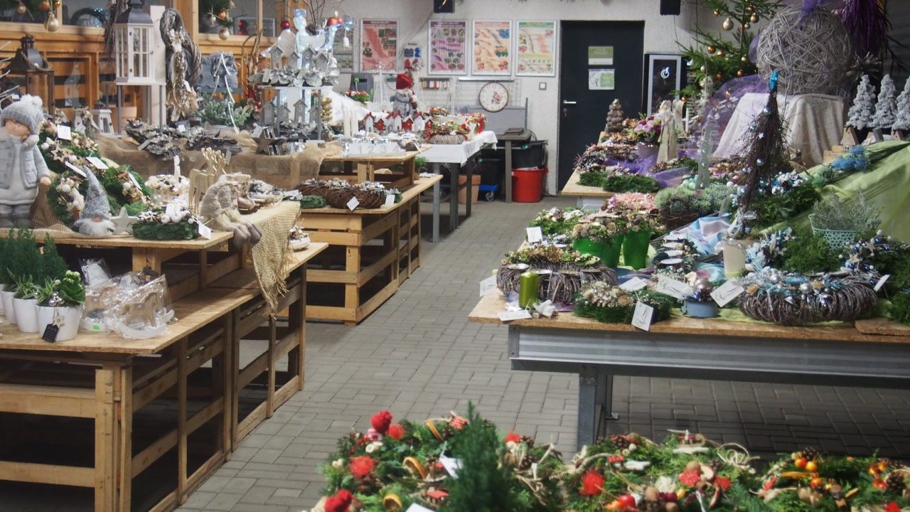 46518639_1251041395053835_335158262569631744_o