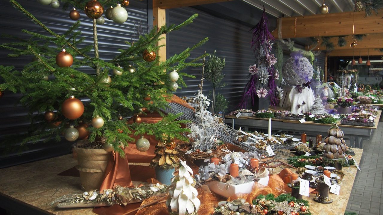 46516594_1251044061720235_6414833050156269568_o