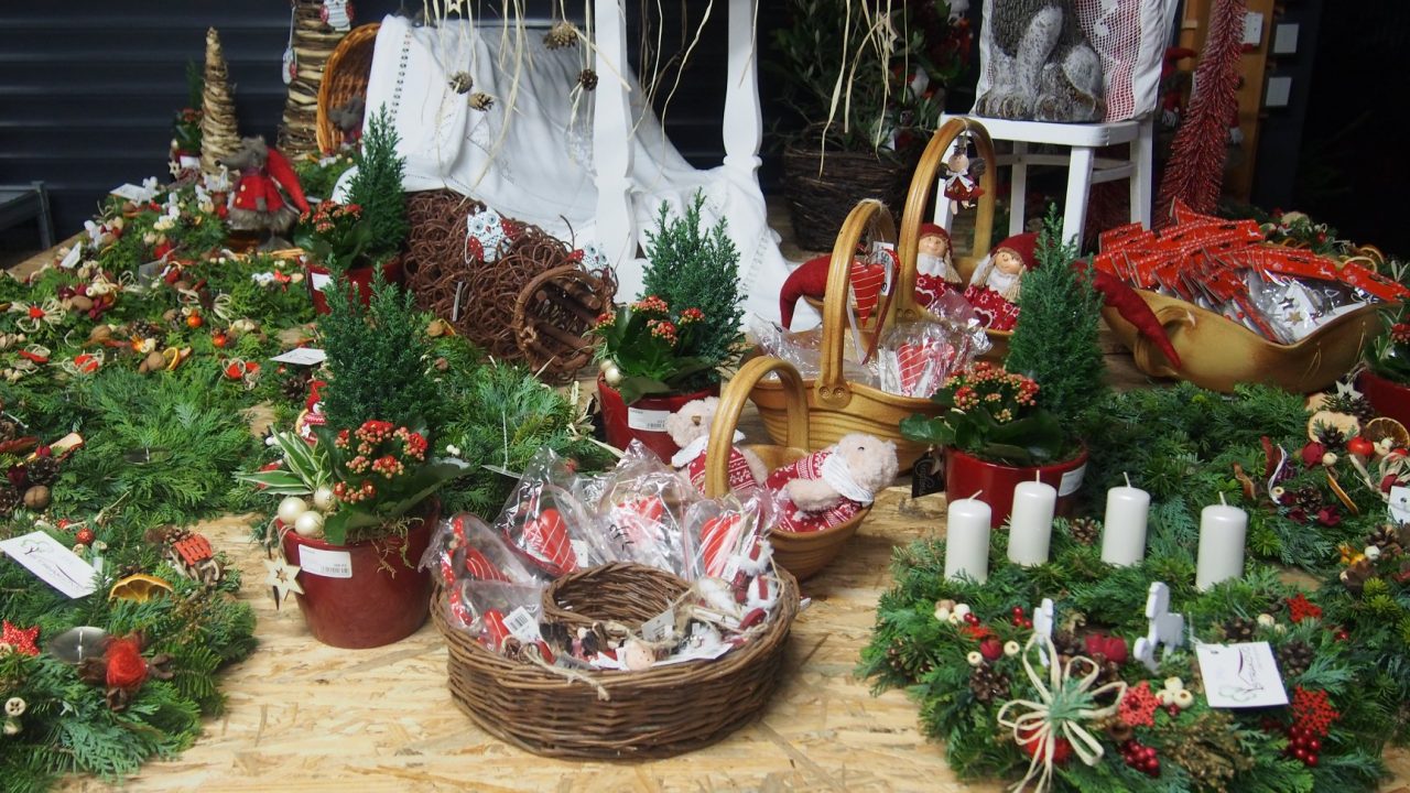 46516414_1251041321720509_1215073005684654080_o