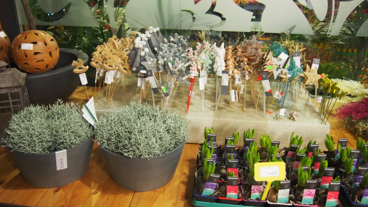 46516175_1251045408386767_5524353525011709952_o