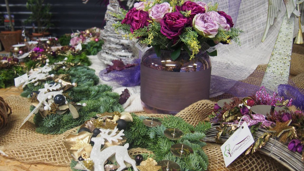 46514123_1251042881720353_6236748381620797440_o