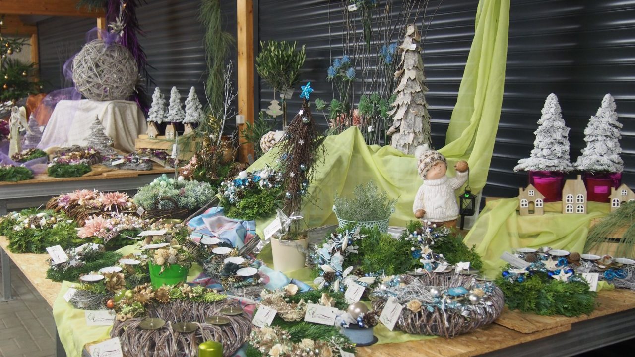 46510677_1251045301720111_2752844672597491712_o