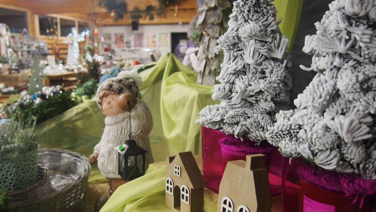 46494412_1251041935053781_2579736277725216768_o