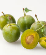 Zelená renklóda 'Verte'- Prunus d. 'Reine Claude Verte' - Obrázek 2
