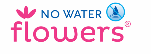 Amarylka ve vosku_WAXZ® - Art Vermeer - Image 8