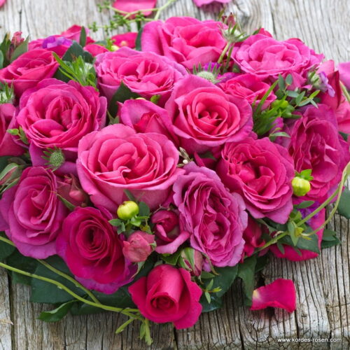 ROSA KORDES 2L Parole – Kordes 2001, čajohybrid - Image 2