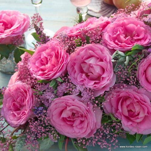 ROSA KORDES 2L Beverly® - Obrázek 3