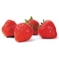 Jahody – sazenice 'Sonáta', poloraná, exclusive, 10-pack