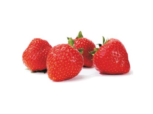 Jahody – sazenice 'Sonáta', poloraná, exclusive, 10-pack - Obrázek 1