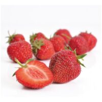 Jahody – sazenice 'Senga Sengana', poloraná, 10-pack
