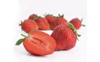 Jahody – sazenice 'Korona', poloraná, 10-pack