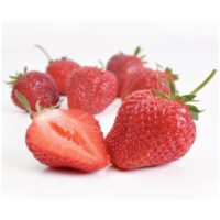 Jahody – sazenice 'Honeoye', raná, 10-pack