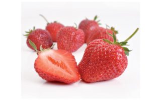 Jahody – sazenice 'Honeoye', raná, 10-pack