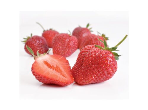 Jahody – sazenice 'Honeoye', raná, 10-pack - Obrázek 1