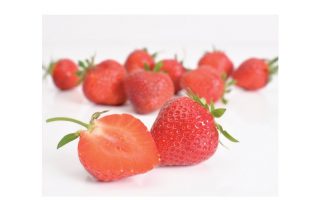 Jahody – sazenice 'Florence', pozdní, 10-pack