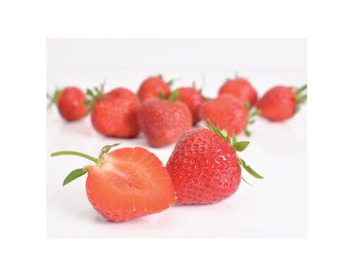 Jahody – sazenice 'Florence', pozdní, 10-pack - Obrázek 1