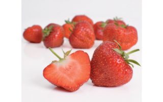 Jahody – sazenice 'Elsanta', raná, 10-pack