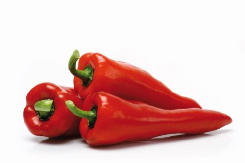 Paprika Dinamica, P10,5 – červená - Obrázek 1