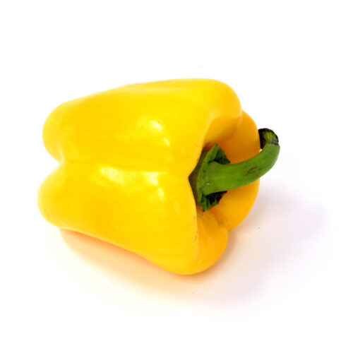 Paprika Snack Yellow, P10,5 – žlutá - Obrázek 1
