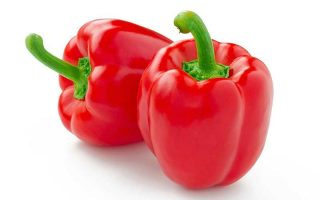 Paprika Snack Red, P10,5 – červená