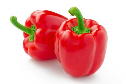 Paprika Snack Red, P10,5 – červená - Obrázek 1
