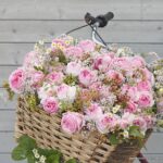 ROSA KORDES - Wellenspiel® - Obrázek 4