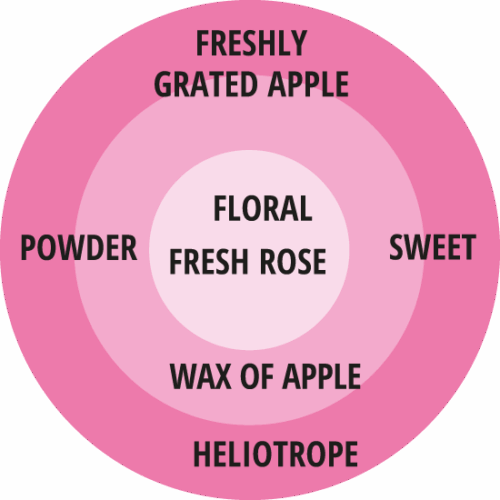 ROSA KORDES 2L Cinderella® - Image 7