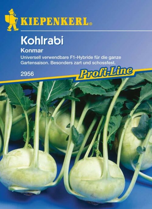 Brukev bílá – / cena za ks - Obrázek 2