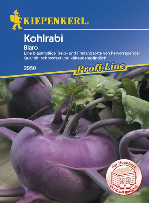 Brukev modrá– 'BLARO' Kiepenkerl / cena za ks - Obrázek 2