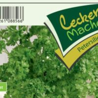 Petržel – sazenice presovaná sadba zeleniny, cena za ks