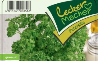 Petržel – sazenice presovaná sadba zeleniny, cena za ks