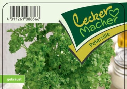 Petržel – sazenice presovaná sadba zeleniny, cena za ks - Obrázek 1