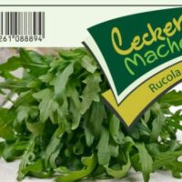 Rucola sazenice, cena za ks
