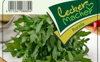 Rucola sazenice, cena za ks
