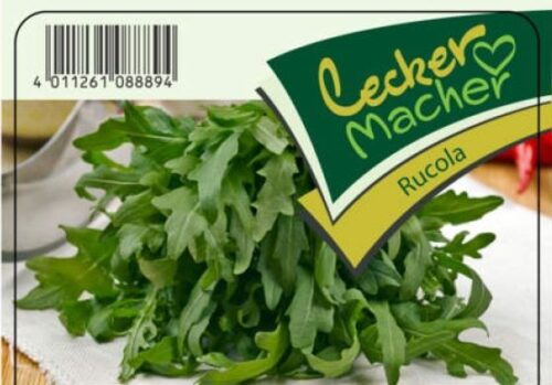 Rucola sazenice, cena za ks - Obrázek 1