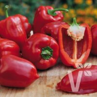 Paprika Block Midi Almira® Red, C3L