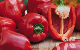 Paprika Block Midi Almira® Red, C3L