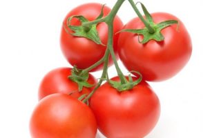 Rajče Rispen – rybízové,  P 9