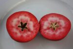 Jabloň 'Circe' Redlove® - Obrázek 3