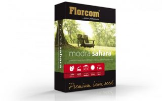 Travní
  osivo  Modrá Sahara 1kg (bez
  krabice) 