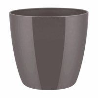 Obal Brussels Diamond - oyster pearl