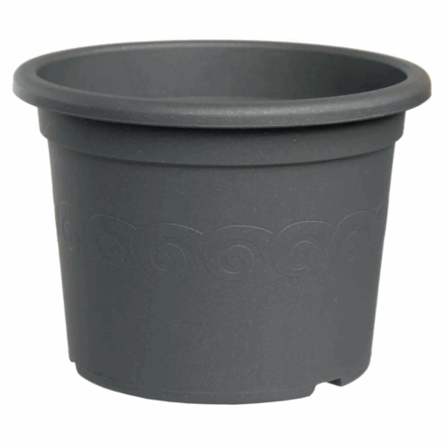 Obal Narcis - antracit - Image 1